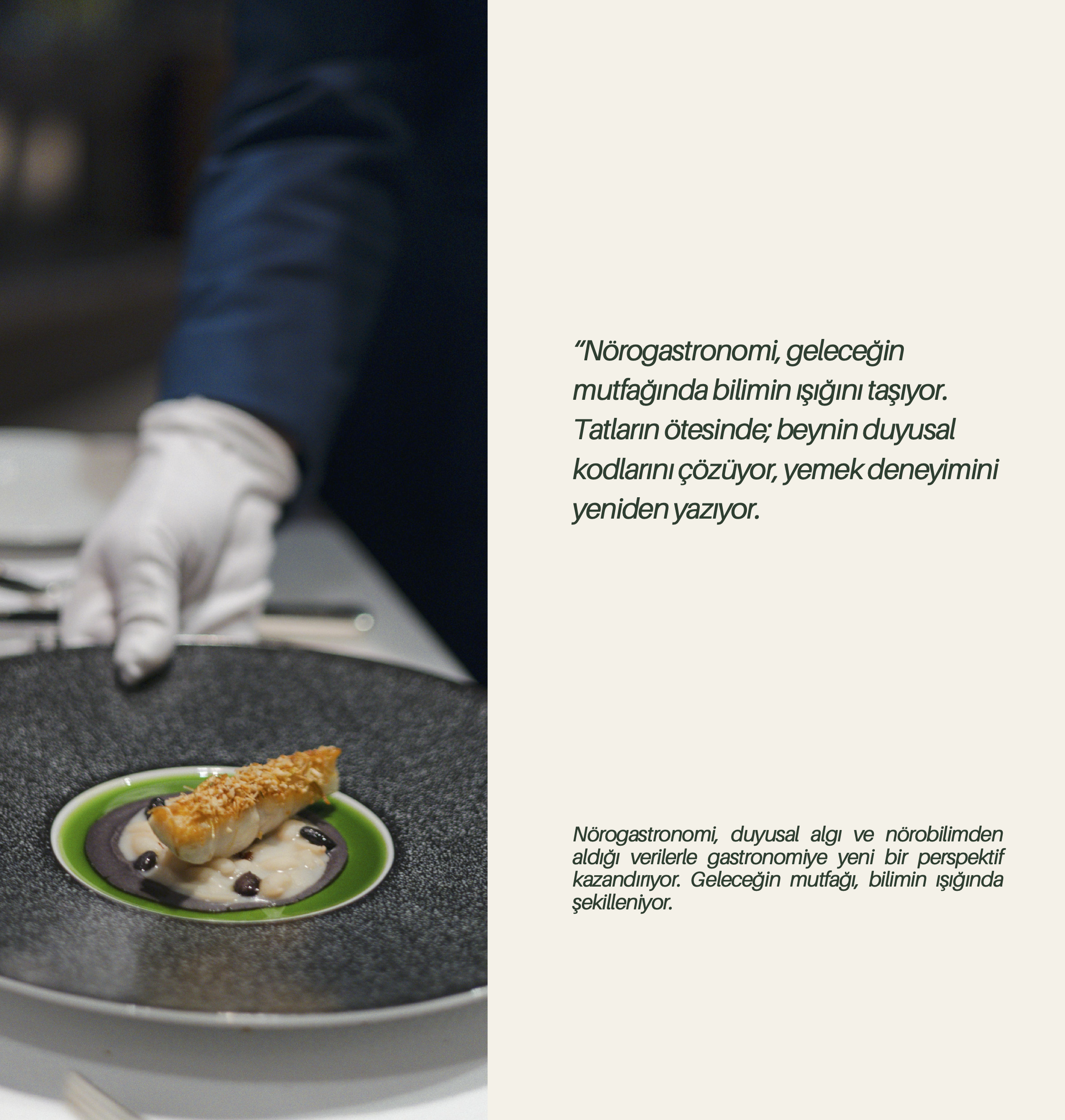 Norogastro Hizmetler Görseli